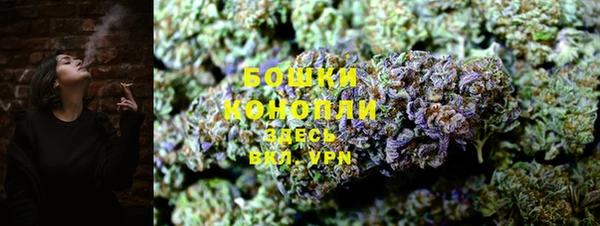 ПСИЛОЦИБИНОВЫЕ ГРИБЫ Арсеньев