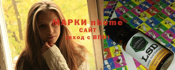 ПСИЛОЦИБИНОВЫЕ ГРИБЫ Арсеньев