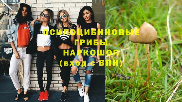 ПСИЛОЦИБИНОВЫЕ ГРИБЫ Арсеньев