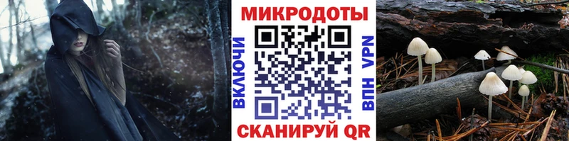 Псилоцибиновые грибы Psilocybe  Новозыбков 