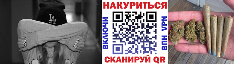 купить наркотики сайты  Новозыбков  Конопля VHQ 